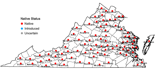 Locations ofSchoenoplectus tabernaemontani (Gmelin) Palla in Virginia