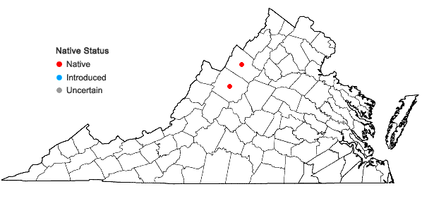 Locations ofSchoenoplectus torreyi (Olney) Palla in Virginia