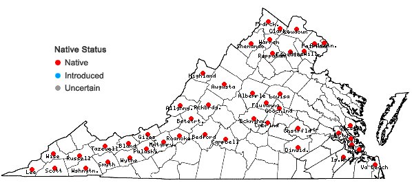 Locations ofScirpus atrovirens Willd. in Virginia