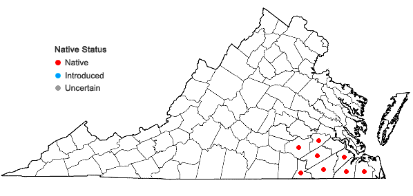 Locations ofScirpus divaricatus Elliott in Virginia