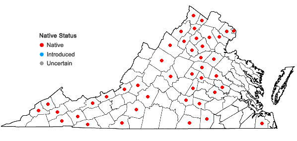 Locations ofSciuro-hypnum plumosum (Hedw.) Ignatov & Huttunen in Virginia
