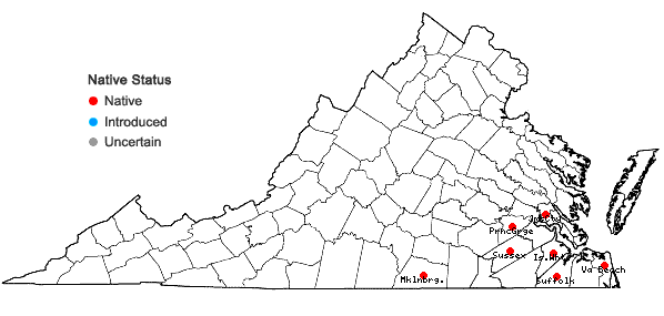 Locations ofScleria nitida Willd. in Virginia