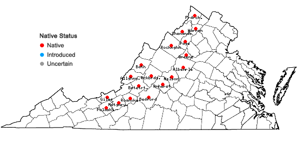 Locations ofScutellaria ovata Hill ssp. rugosa (A. Wood) Epling in Virginia