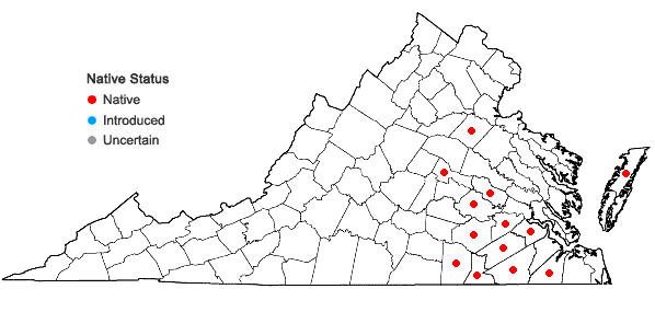 Locations ofSenega cruciata (L.) J.F.B. Pastore & J.R. Abbott in Virginia