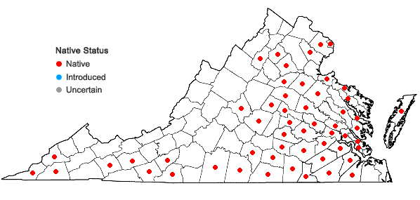 Locations ofSenega curtissii (A. Gray) J.F.B. Pastore & J.R. Abbott in Virginia