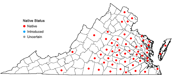 Locations ofSenega incarnata (L.) J.F.B. Pastore & J.R. Abbott in Virginia