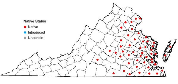 Locations ofSenega mariana (P. Mill.) J.F.B. Pastore & J.R. Abbott in Virginia