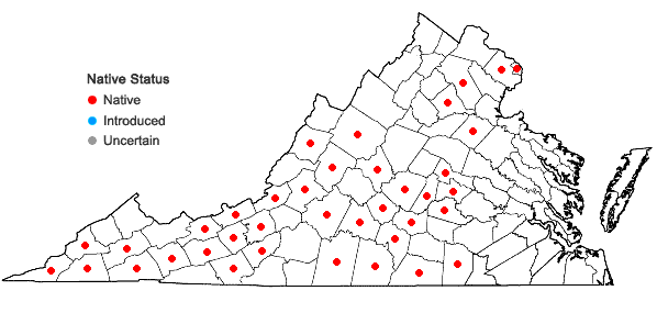 Locations ofSenega officinalis Spach in Virginia