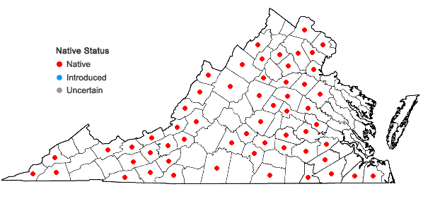 Locations ofSenega sanguinea (L.) J.F.B. Pastore & J.R. Abbott in Virginia