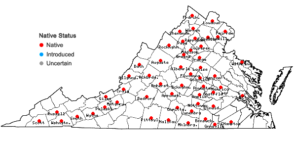 Locations ofSenna hebecarpa (Fernald) Irwin & Barneby in Virginia