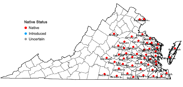 Locations ofSericocarpus asteroides (L.) B.S.P. in Virginia