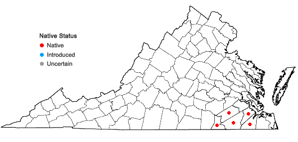 Locations ofSeymeria cassioides (J.F. Gmel.) Blake in Virginia