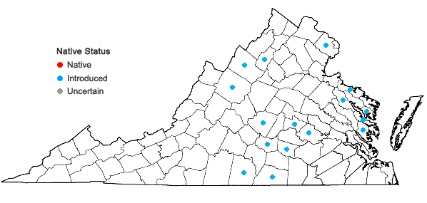 Locations ofSilene coronaria (L.) Clairville in Virginia