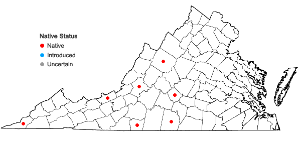 Locations ofSilphium asteriscus L. var. latifolium (Gray) Clevinger in Virginia