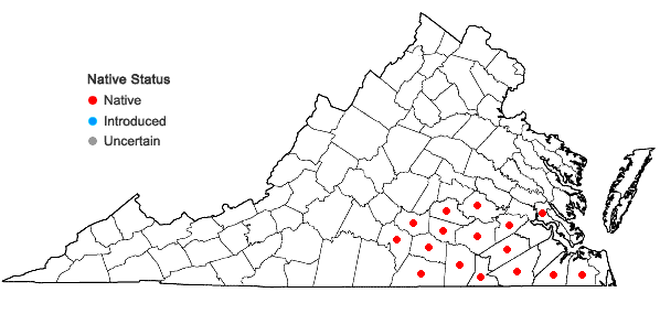 Locations ofSilphium compositum Michx. var. compositum in Virginia
