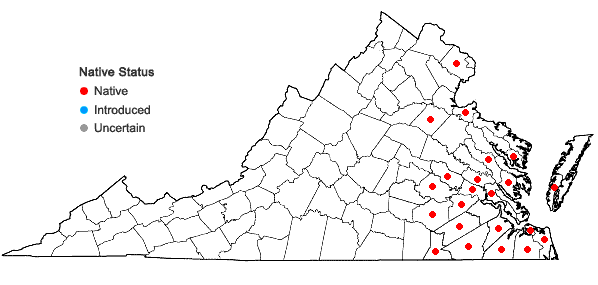 Locations ofSmilax pseudochina L. in Virginia