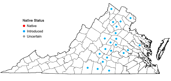 Locations ofSolanum sarrachoides Sendt. in Virginia