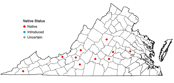 Locations ofSolenostoma crenuliforme (Aust.) Steph. in Virginia