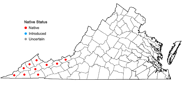 Locations ofSolidago faucibus Wieboldt in Virginia