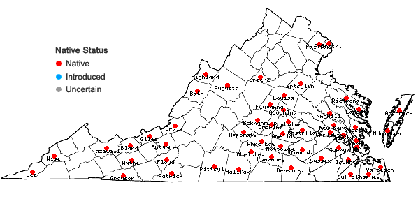 Locations ofSolidago rugosa P. Mill. var. aspera (Ait.) Fern. in Virginia