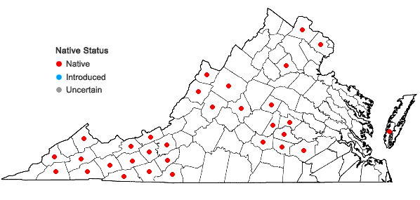 Locations ofSolidago rugosa P. Mill. var. rugosa in Virginia