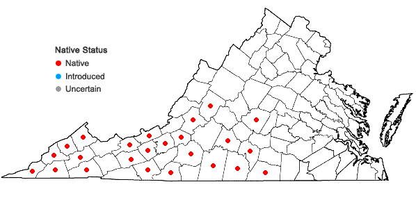 Locations ofSolidago sphacelata Raf. in Virginia
