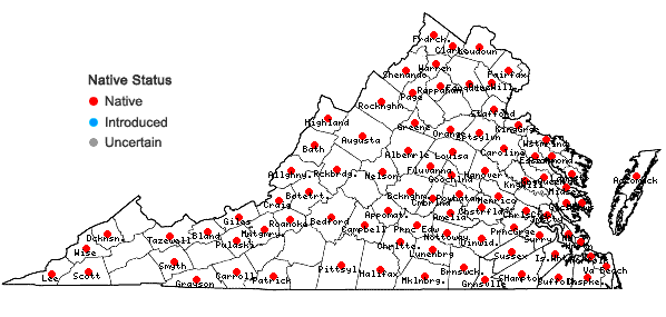 Locations ofSparganium americanum Nutt. in Virginia