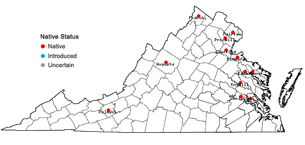 Locations ofSparganium eurycarpum Engelm. ex Gray in Virginia