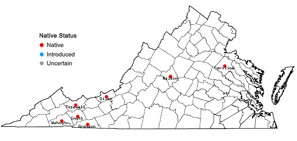 Locations ofSphagnum capillifolium (Ehrh.) Hedw. in Virginia