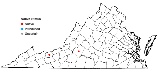 Locations ofSpiranthes arcisepala M.C. Pace in Virginia