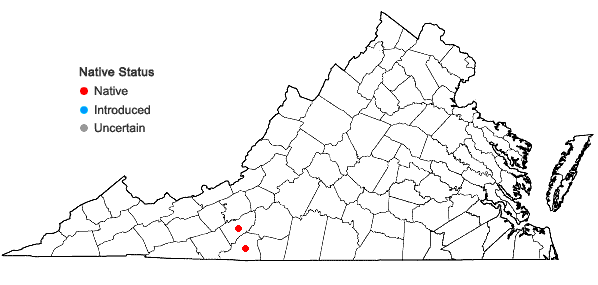 Locations ofSpiranthes lacera (Raf.) Raf. var. lacera in Virginia