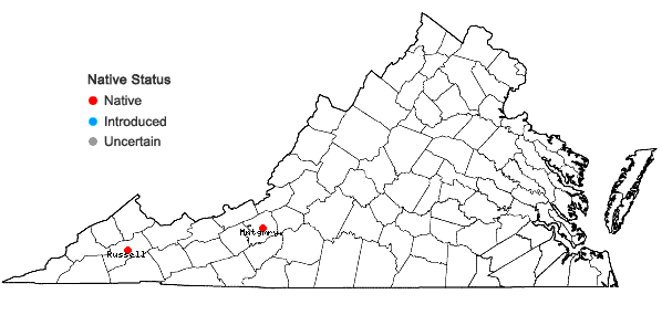 Locations ofSpiranthes magnicamporum Sheviak in Virginia