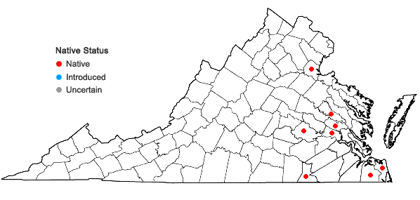 Locations ofSpiranthes odorata (Nutt.) Lindl. in Virginia