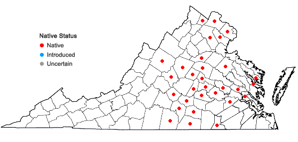 Locations ofSpiranthes tuberosa Raf. in Virginia