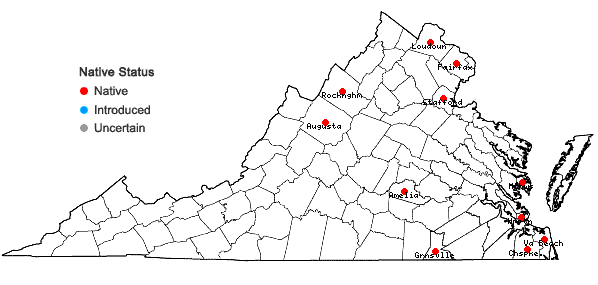 Locations ofStachys aspera Michx. in Virginia