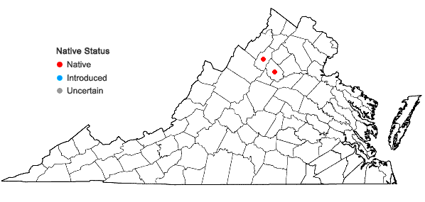 Locations ofStreptopus amplexifolius (L.) DC. in Virginia