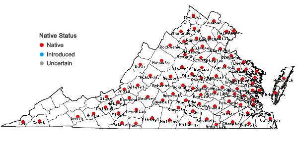 Locations ofStylosanthes biflora (L.) B.S.P. in Virginia