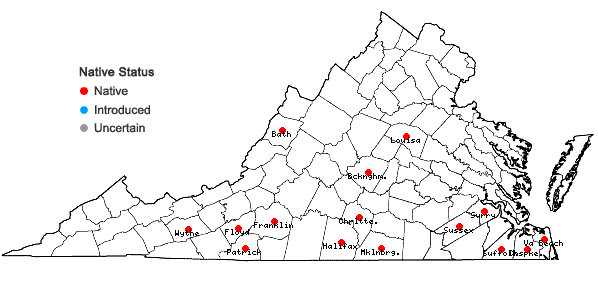 Locations ofStyrax grandifolius Aiton in Virginia