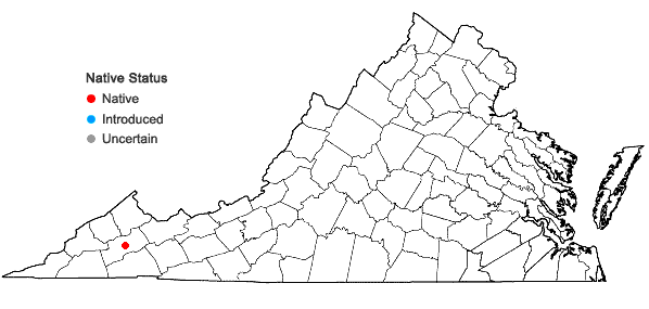 Locations ofSullivantia sullivantii (Torr. & Gray) Britt. in Virginia
