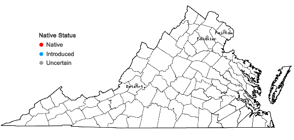 Locations ofSwida sericea (L.) Holub in Virginia