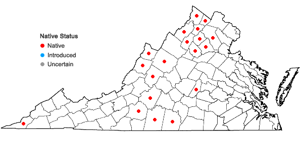 Locations ofSymphyotrichum concinnum (Willd.) Mohlenbr. in Virginia