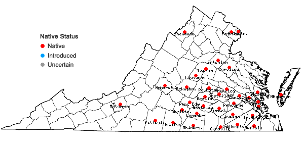Locations ofSymphyotrichum concolor (L.) Nesom in Virginia