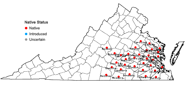 Locations ofSymphyotrichum grandiflorum (L.) Nesom in Virginia