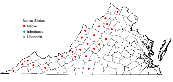 Locations ofSymphyotrichum lowrieanum (Porter) Nesom in Virginia