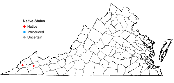 Locations ofSymphyotrichum pratense (Raf.) Nesom in Virginia