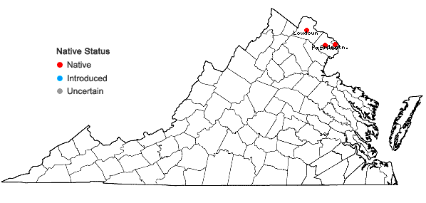 Locations ofSymphyotrichum shortii (Lindl.) Nesom in Virginia