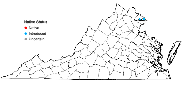 Locations ofTaxus baccata L. in Virginia
