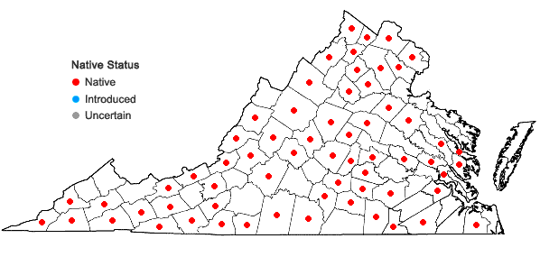 Locations ofThalictrum amphibolum Greene in Virginia