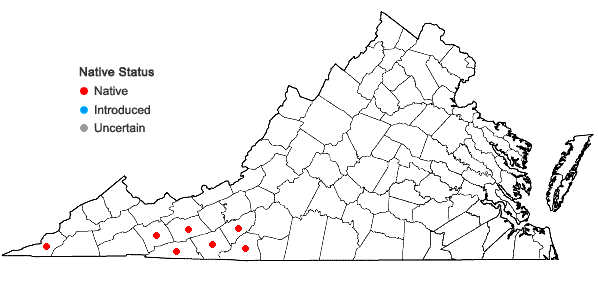 Locations ofThalictrum clavatum DC. in Virginia