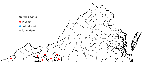 Locations ofThalictrum clavatum DC. in Virginia